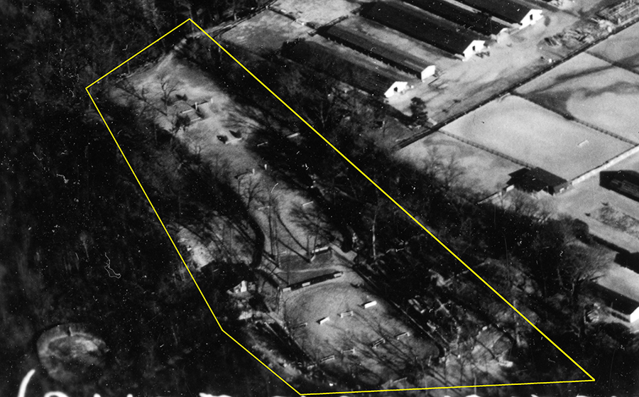 Campbell King Horse Bowl (1938) Photo 2
